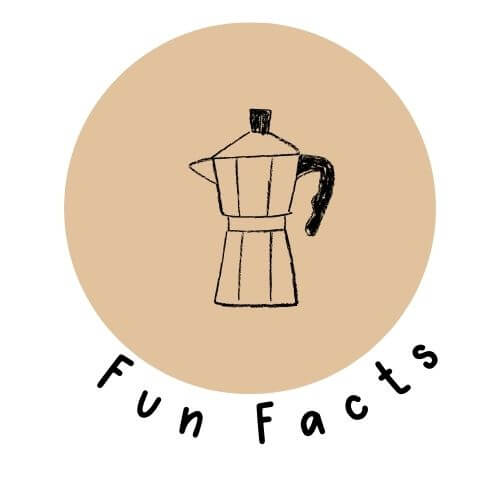 Fun-Facts-ideen